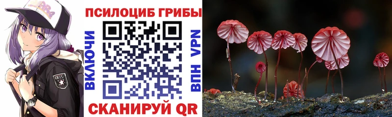 Галлюциногенные грибы Cubensis  наркошоп  Горняк 